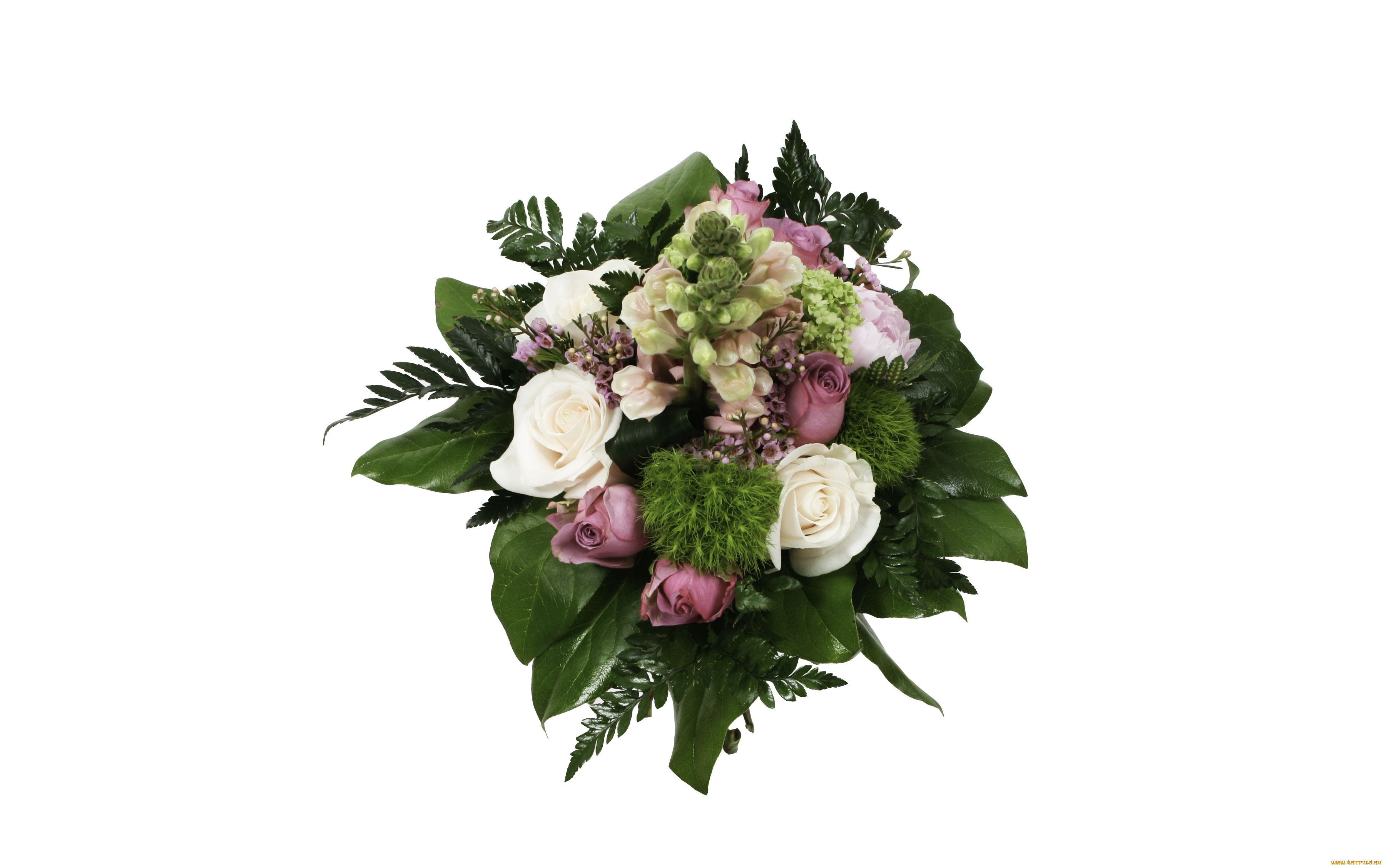 , , , bouquet